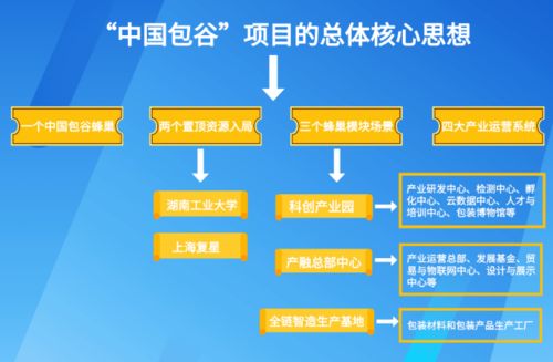 株洲推動食品與包裝產(chǎn)業(yè)對接，億元級標(biāo)桿項(xiàng)目落地的全流程策劃與服務(wù)實(shí)踐